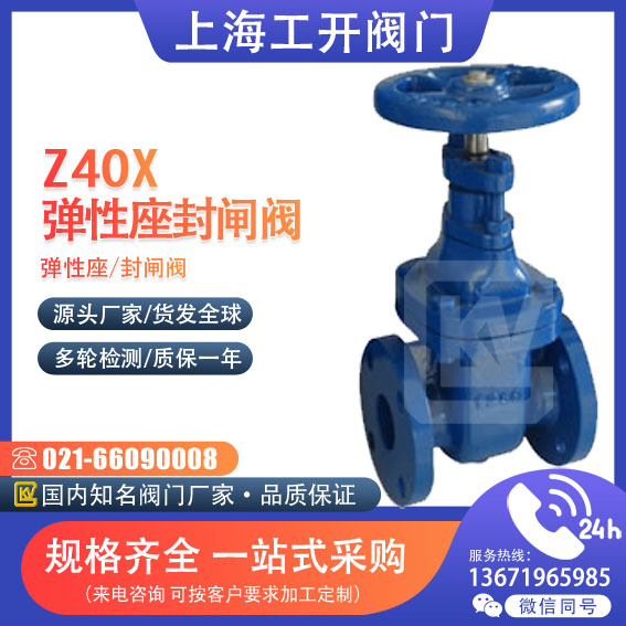 闸阀  弹性座封闸阀