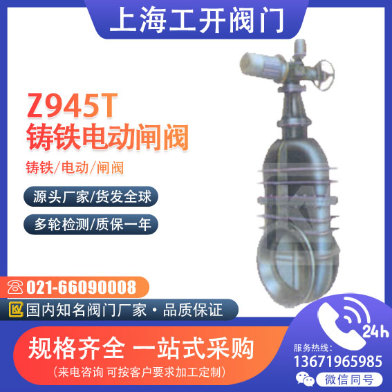 闸阀  电动暗杆楔式闸阀