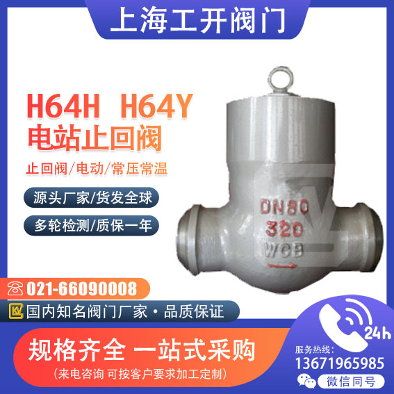 止回阀  电站止回阀